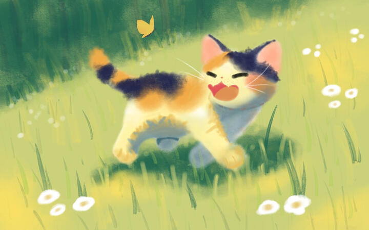 Illustrations